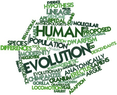 Human evolution word cloud